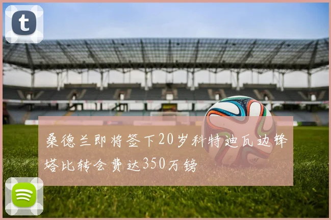 桑德兰即将签下20岁科特迪瓦边锋塔比转会费达350万镑