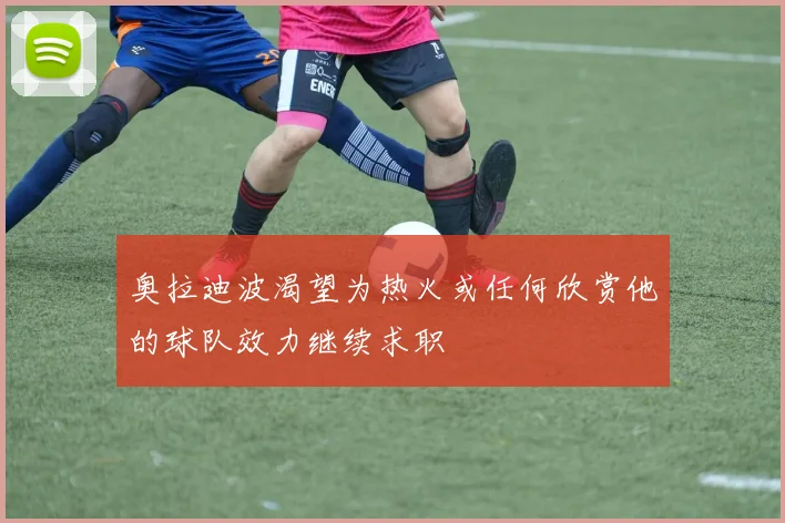 奥拉迪波渴望为热火或任何欣赏他的球队效力继续求职